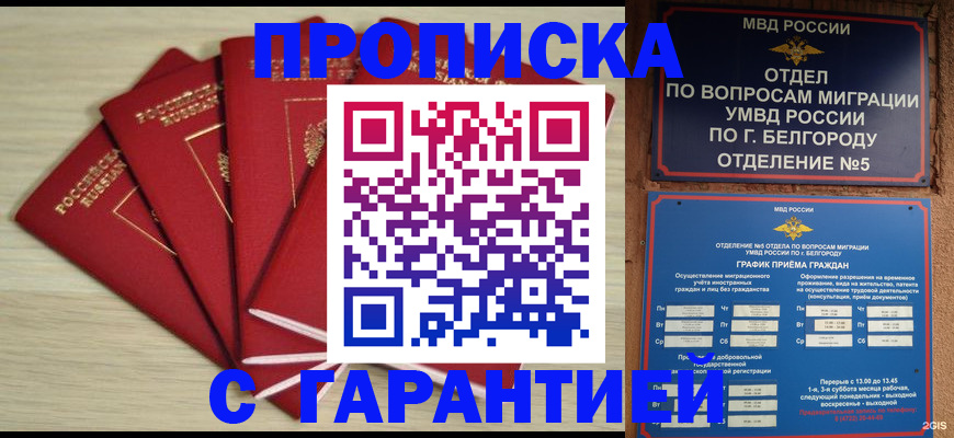 миграционный учет в Щёлково